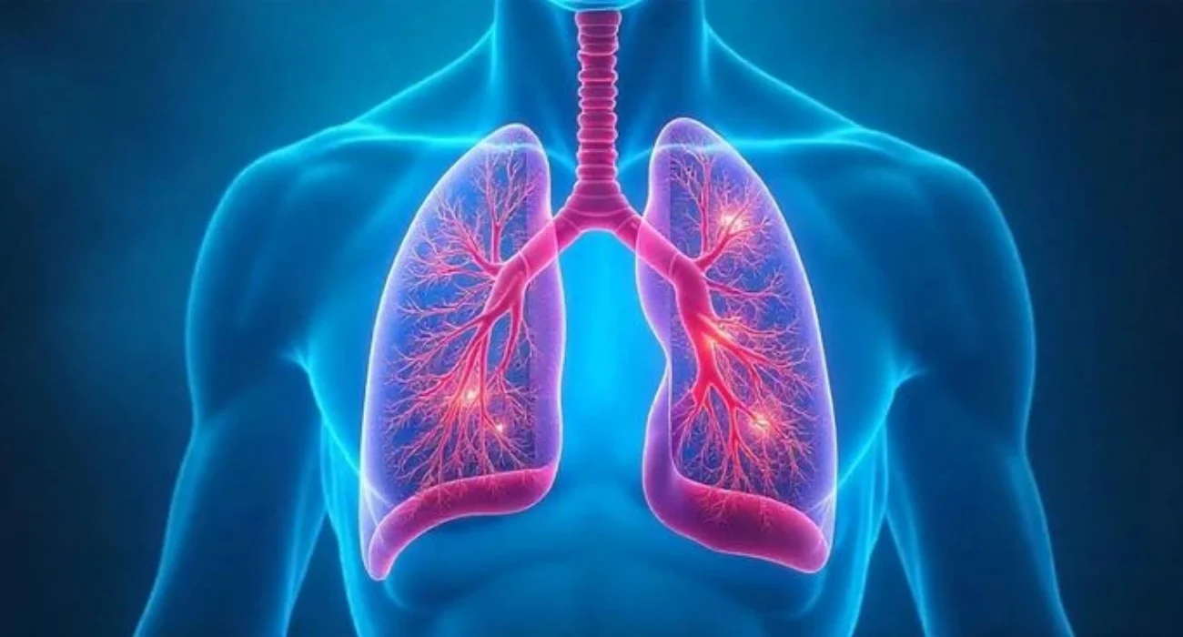 Breathing and Exchange of Gases NEET